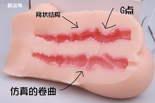 飞机杯测评—春风精灵通道截面