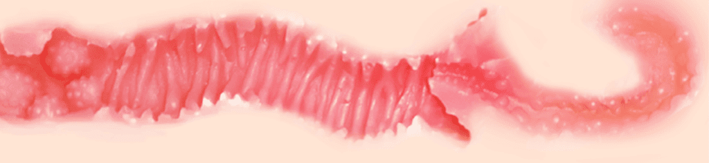 GXP—SG研究社测评,外在和内观的双重仿真 GXP—SG研究社测评,外在和内观的双重仿真