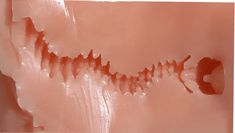 对子哈特—工口姐姐二代测评,姐姐不要再榨了 「圣杯测评」对子哈特—工口姐姐二代测评,姐姐不要再榨了