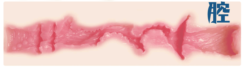 GXP-异世界狐娘测评，地上冷坐我怀里吧