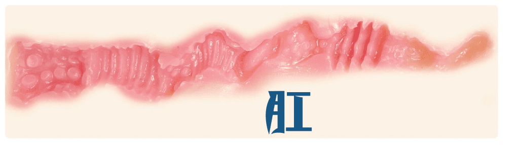 GXP-异世界狐娘测评，地上冷坐我怀里吧