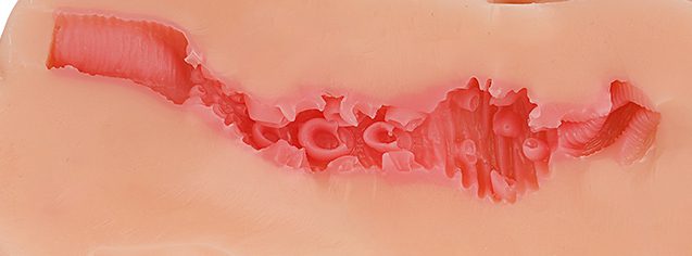 LOVEFACTOR—风俗娘（茉莉）测评，姐妹花之重生去当歌姬