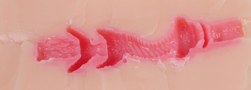 GXP——双子乙女千奈一代测评，对新手非常友好！温柔姐妹花的慢玩体验