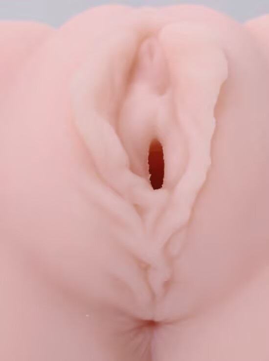 20241226211412657-3dfe646e8fa5ad96851d30f4065d04cd