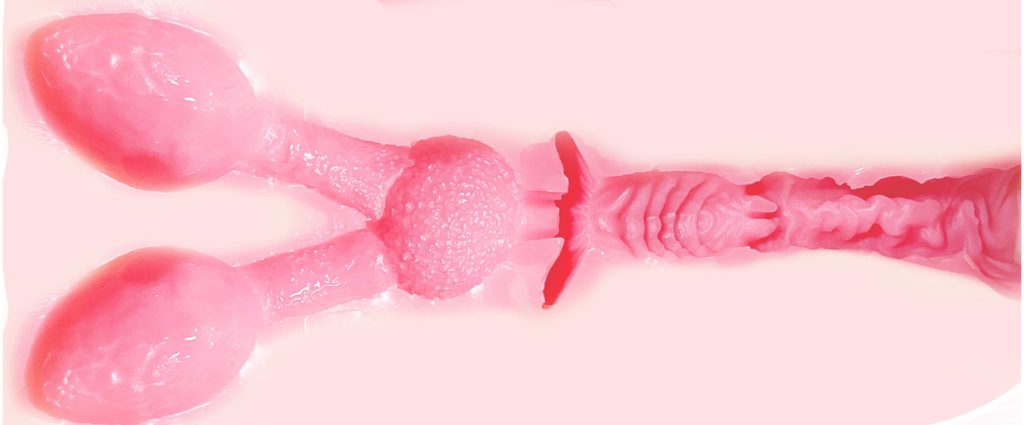 GXP——赫萝猫娘测评，可爱的外观下有着超强的吸力，拼尽全力也无法战胜