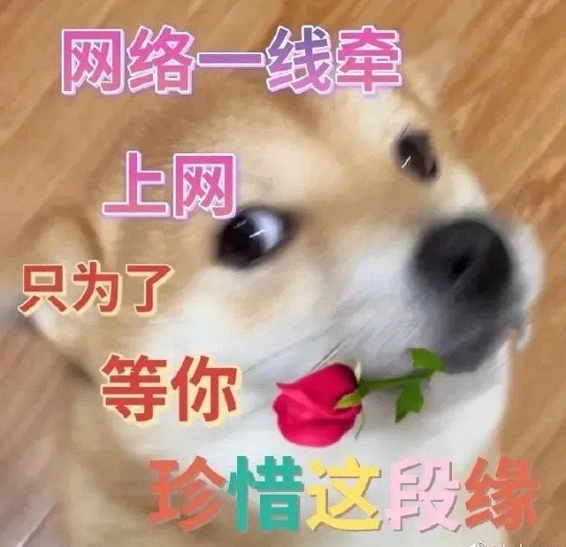 20250219175259630-ceeb653ely8h5uqguzgkxj20hs0h60u7