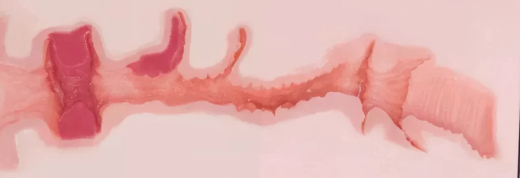 水野莉莉通道