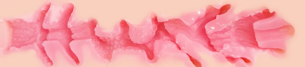 GXP—应援体育生测评，等比例缩小的迷你半身，双通道都非常紧致的体验