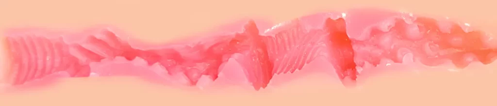 GXP—应援体育生测评，等比例缩小的迷你半身，双通道都非常紧致的体验