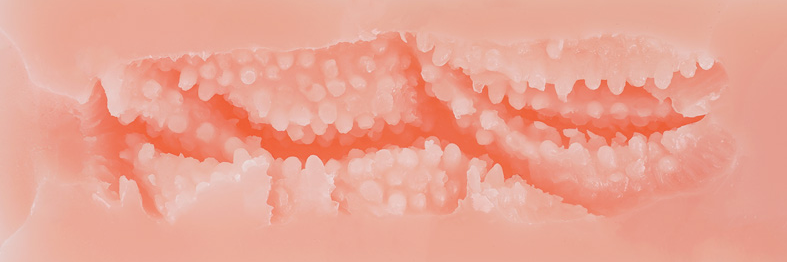 COOLP—性处理女仆soft测评!同为高质量的鱼子酱设计,慢玩体验谁更胜一筹? COOLP—性处理女仆soft测评!同为高质量的鱼子酱设计,慢玩体验谁更胜一筹?