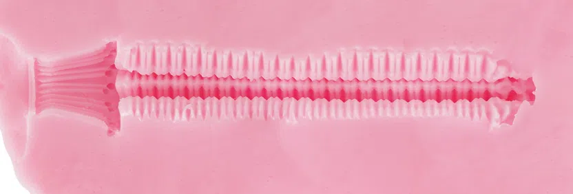 RIDE JAPAN—蝶形轨道测评，三角肉片的极致体验！高刺激的同时带来了不错的立体感