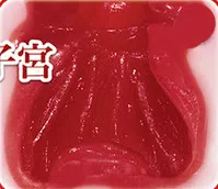 揭秘现实中流传的5大名器类型，原来还有这种差别！