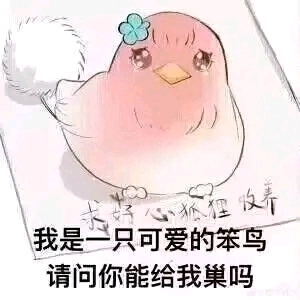 20250724155033386-16A9F95104E6C161CD84708CB3854B9F