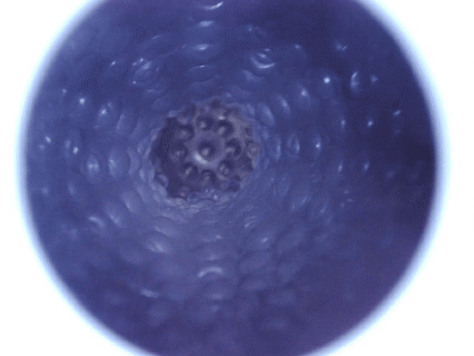 magiceyes—反差娘测评，旅游出行的便捷小奶瓶？虽便捷拉满，但体验拉胯。