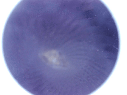 magiceyes—反差娘测评，旅游出行的便捷小奶瓶？虽便捷拉满，但体验拉胯。