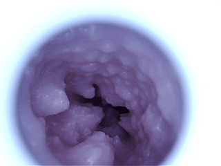 yokubou—情热应援团2代,造型比较讨喜的小臀模,但后入的使用体验有点不太行 yokubou—情热应援团2代,造型比较讨喜的小臀模,但后入的使用体验有点不太行