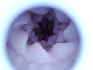 yokubou—情热应援团2代,造型比较讨喜的小臀模,但后入的使用体验有点不太行 yokubou—情热应援团2代,造型比较讨喜的小臀模,但后入的使用体验有点不太行