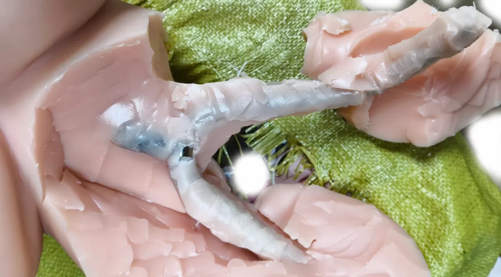 酥软Gcup,加上真实肉感双通道,23斤的性价比半身!GXP—大吉樱子(半身)测评。 酥软Gcup,加上真实肉感双通道,23斤的性价比半身!GXP—大吉樱子(半身)测评。