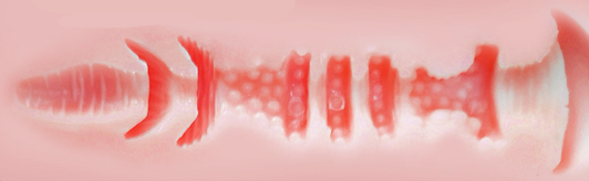 酥软Gcup,加上真实肉感双通道,23斤的性价比半身!GXP—大吉樱子(半身)测评。 酥软Gcup,加上真实肉感双通道,23斤的性价比半身!GXP—大吉樱子(半身)测评。