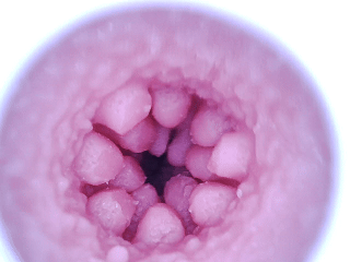 价值3.5K的臀模说切就切,最证明实力的一期!34斤的硅胶巨臀,绝对真实的大体积冲撞体验!彼之良—U41测评! 价值3.5K的臀模说切就切,最证明实力的一期!34斤的硅胶巨臀,绝对真实的大体积冲撞体验!彼之良—U41测评!