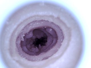 价值3.5K的臀模说切就切,最证明实力的一期!34斤的硅胶巨臀,绝对真实的大体积冲撞体验!彼之良—U41测评! 价值3.5K的臀模说切就切,最证明实力的一期!34斤的硅胶巨臀,绝对真实的大体积冲撞体验!彼之良—U41测评!