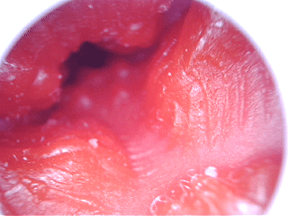 20251203164653604-12月2日