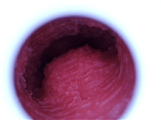 百万粉丝级别漫画家手下的本子联名款,《枫与铃》的体验如何呢?Evolution angel 见习天使—星月枫测评! 百万粉丝级别漫画家手下的本子联名款,《枫与铃》的体验如何呢?Evolution angel 见习天使—星月枫测评!