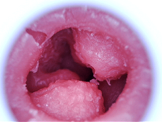 局长ip宇宙《枫与铃》联名杯子！外观还原的杯子体验如何呢？Evolution angel 见习天使—星月铃测评！