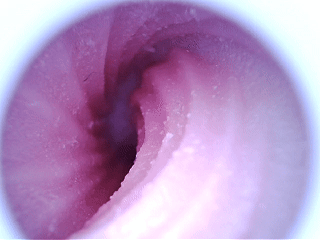 百元不到的价位能有如此精美包装，还有小型海浪般的通道体验？majomiyo—鲨鲨测评