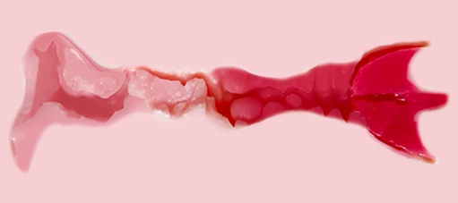 内含乾坤的精致开腿造型小臀模,在通道里面施展材料变化的魔法?majomiyo—魅魔莉可测评 内含乾坤的精致开腿造型小臀模,在通道里面施展材料变化的魔法?majomiyo—魅魔莉可测评