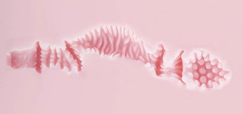 内含乾坤的精致开腿造型小臀模,在通道里面施展材料变化的魔法?majomiyo—魅魔莉可测评 内含乾坤的精致开腿造型小臀模,在通道里面施展材料变化的魔法?majomiyo—魅魔莉可测评