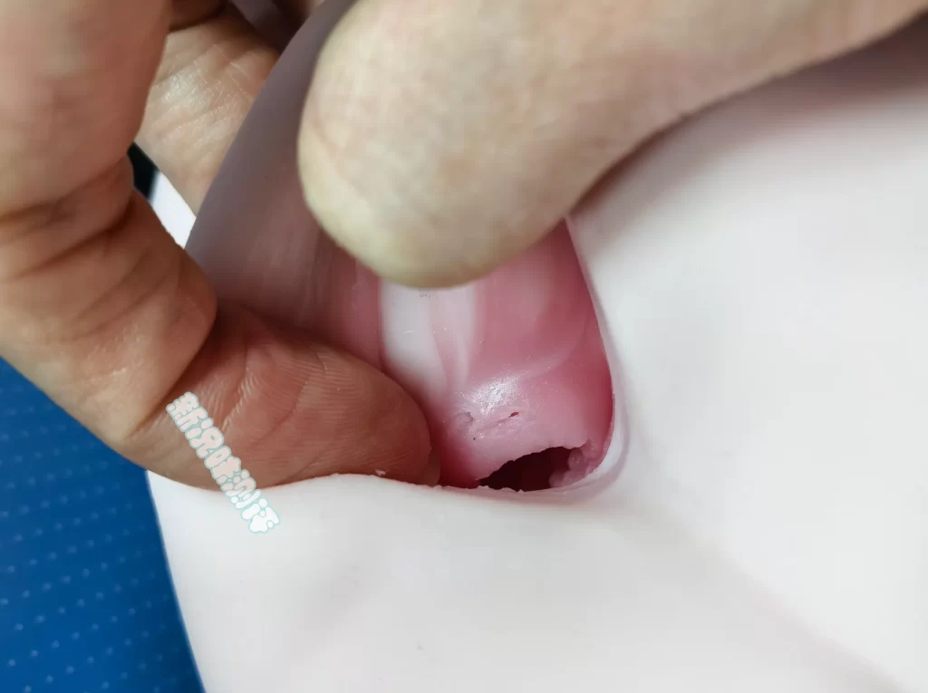 不会真的有人想尝试日海豚的感觉吧？虽然这个通道设计也和海豚没太大关系。。。YUU—五宫豚娘物语测评