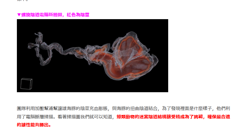 不会真的有人想尝试日海豚的感觉吧？虽然这个通道设计也和海豚没太大关系。。。YUU—五宫豚娘物语测评