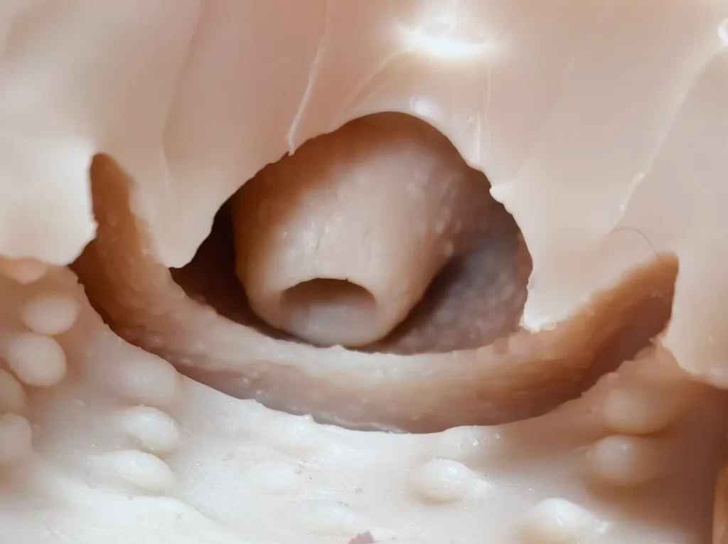 小巧精致的“硅胶”小小半身，却带着不同寻常写实大雷！琉璃温肉—甜心侍应生测评