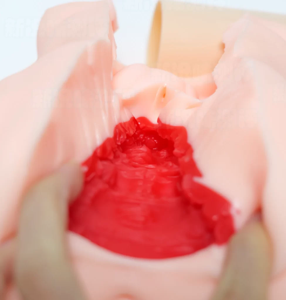 熟悉的10档震动与吮吸，多重结构带来持续刺激感！GXP-SG研究社2代（电动版）测评