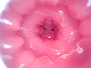 熟悉的10档震动与吮吸，多重结构带来持续刺激感！GXP-SG研究社2代（电动版）测评