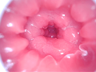 熟悉的10档震动与吮吸，多重结构带来持续刺激感！GXP-SG研究社2代（电动版）测评