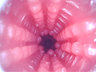你的破处小巧思很好，但我建议把其他面搞好再弄小巧思，谜姬-初樱测评！
