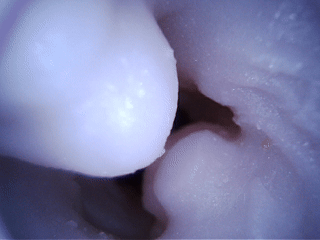 你的破处小巧思很好，但我建议把其他面搞好再弄小巧思，谜姬-初樱测评！