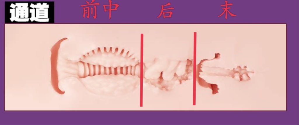 【群友测评】MODE—奈奈子2测评！皮肤虽紫，但材质够软，不错体验的大馒头穴慢玩杯