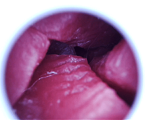 重心极其不稳的浅黑皮小臀,柔软度很高,但小毛病也不少。lovefactor—甜心特工测评 重心极其不稳的浅黑皮小臀,柔软度很高,但小毛病也不少。lovefactor—甜心特工测评