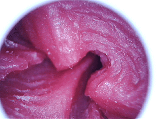 重心极其不稳的浅黑皮小臀,柔软度很高,但小毛病也不少。lovefactor—甜心特工测评 重心极其不稳的浅黑皮小臀,柔软度很高,但小毛病也不少。lovefactor—甜心特工测评