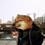 cheems最爱薯条的头像|新况味测评