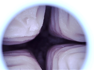 来自硅胶材质的月牙天冲！说真的对牛牛来说有点刺激了，彼之良—Uair03测评