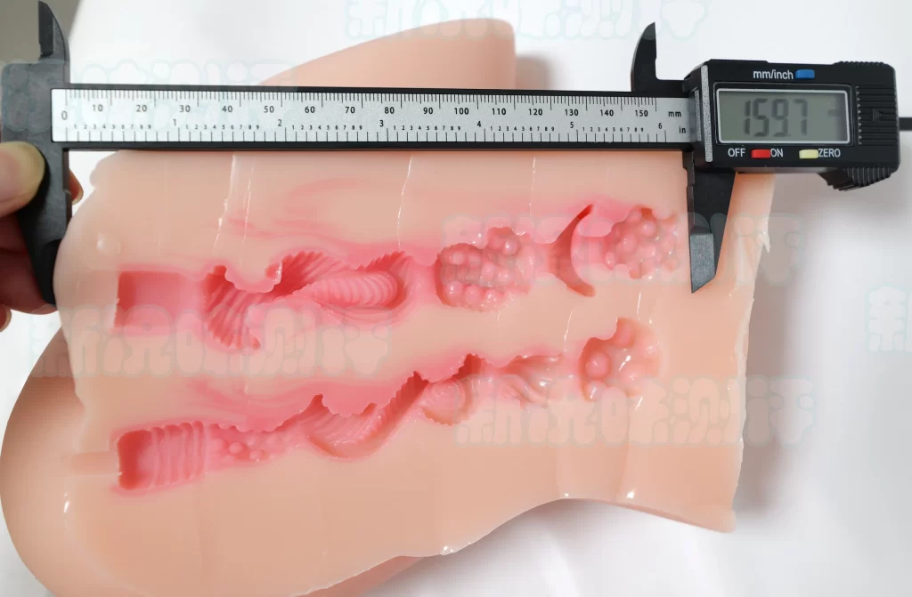 主打骑乘姿势的长腿小臀，实际用起来确实翘屁股厚乳更舒适？TMT—骑乘之臀测评