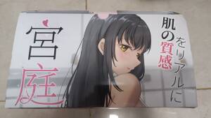【群友测评】RQS—宫廷妄想,扁身式硬质小臀,体验意外的还可以 【群友测评】RQS—宫廷妄想,扁身式硬质小臀,体验意外的还可以