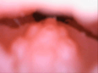 kaguyano—味淋测评,古早风格的小身躯硬胶,内部的齿轮咬合体验却意外的不错 20260924172847223-tdd.gif
