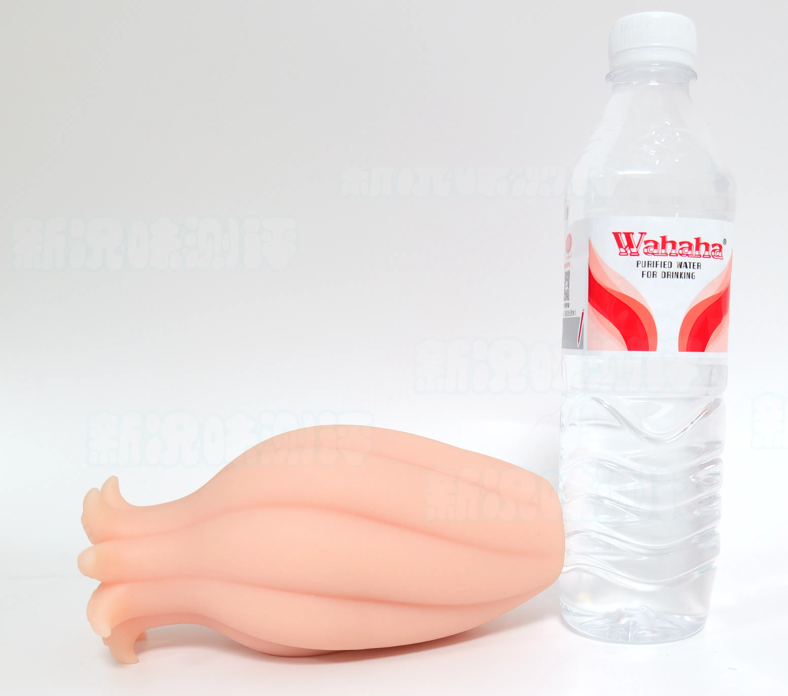 20260930161708393-章鱼娘本体5.webp