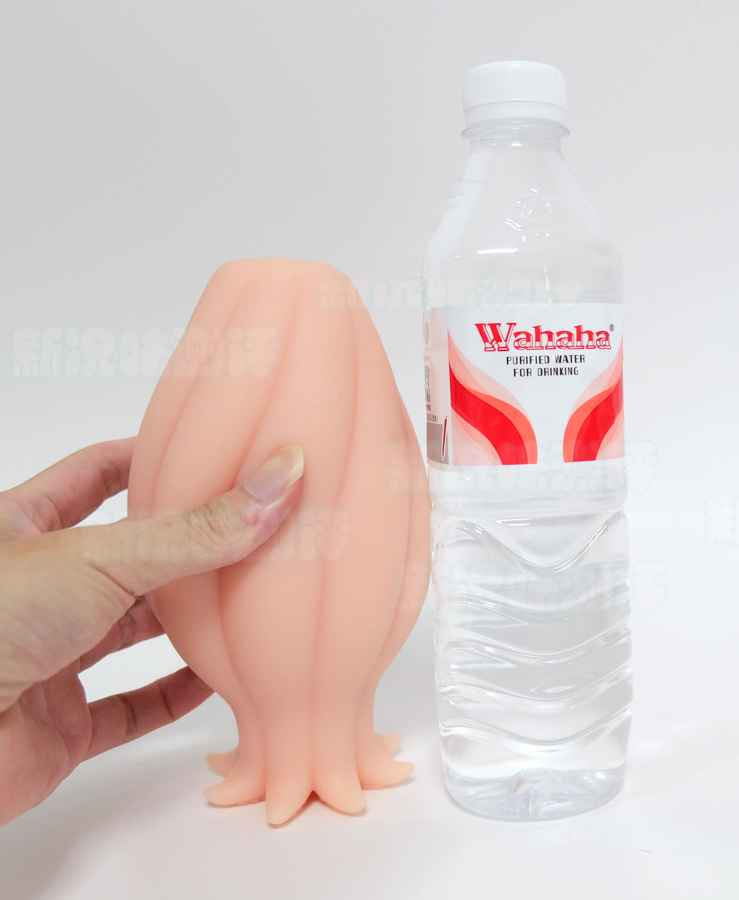 20260930161713677-章鱼娘本体.webp