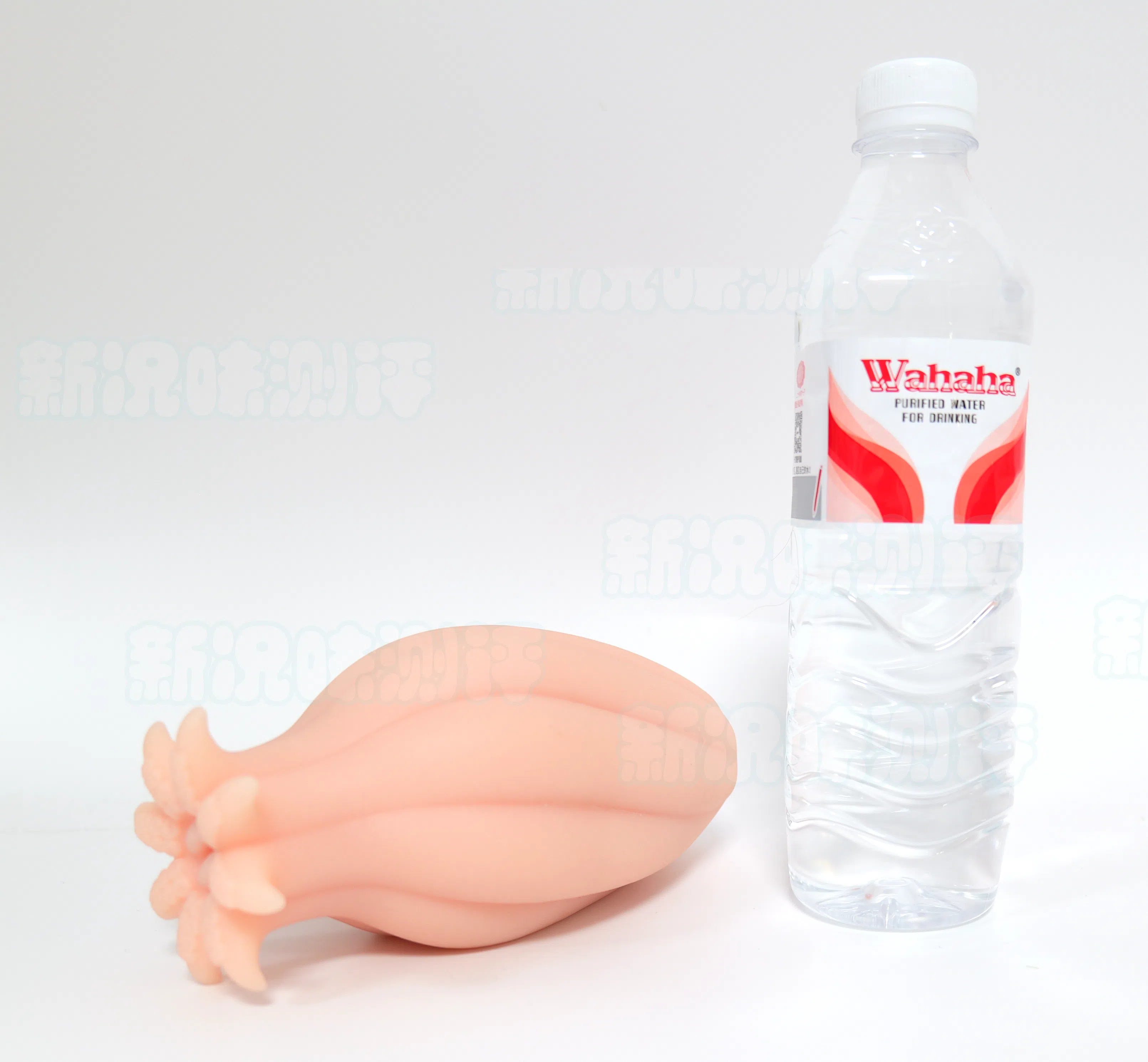 20260930161750630-章鱼娘本体6.webp